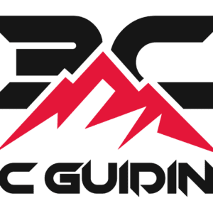 3C Guiding Logo T-Shirt